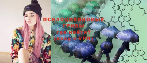 гашиш Богородицк