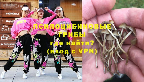 ALPHA-PVP Богданович