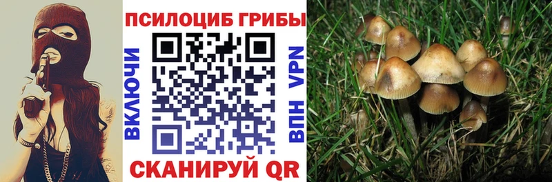 Галлюциногенные грибы GOLDEN TEACHER  Мезень 